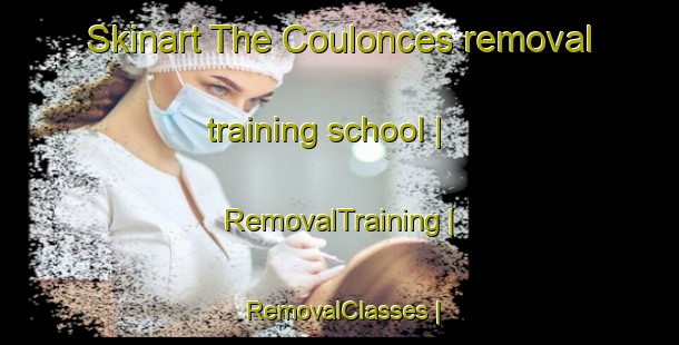 Skinart The Coulonces removal training school | RemovalTraining | RemovalClasses | SkinartTraining-France